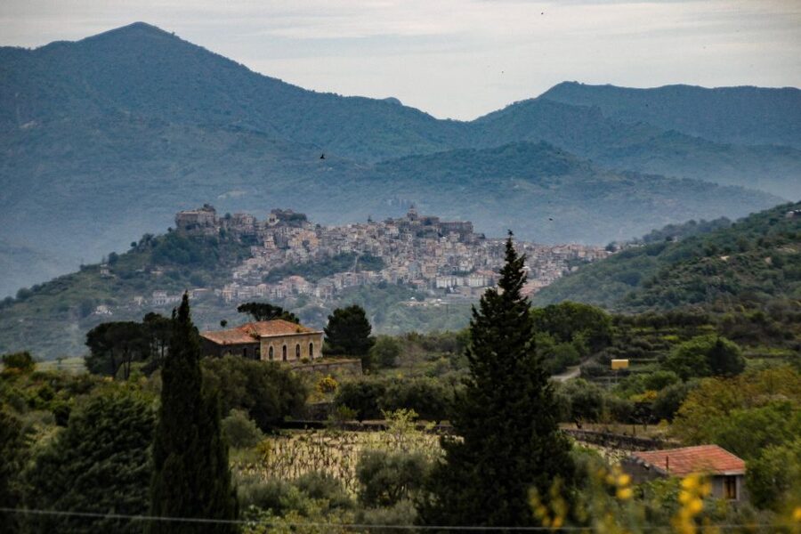 Piedimonte Etneo: Etna Wine Train Tour & Sicily Wine tasting - Who will enjoy this Etna wine day?