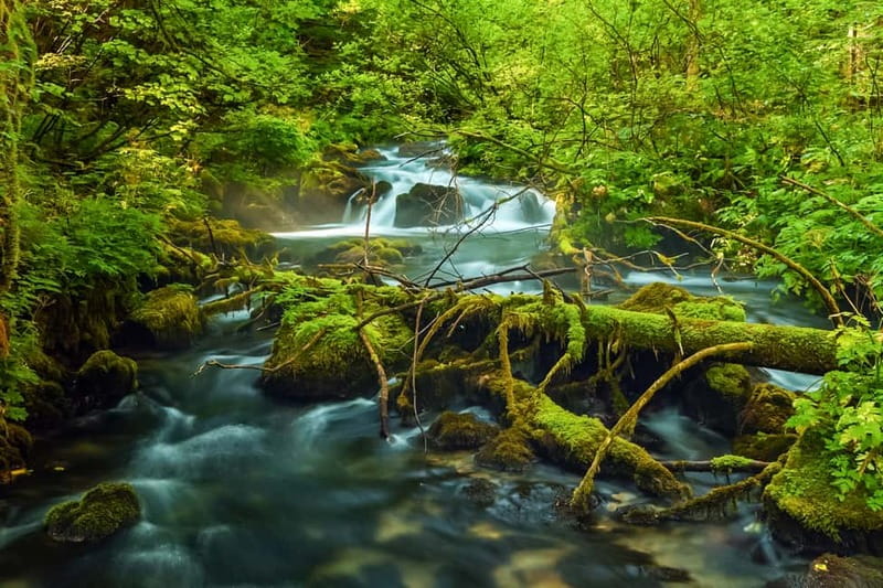 Plitvice Lakes: Guided Walking Tour with Train and Boat Ride - The lower lakes and their waterfalls