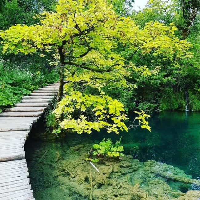 Plitvice Lakes National Park: Walking, Boat, and Train Tour - Starting at Entrance 1 and reaching the Big Waterfall