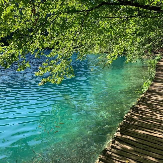 Plitvice Lakes National Park: Walking, Boat, and Train Tour - Returning by panoramic train and ending at the viewpoints