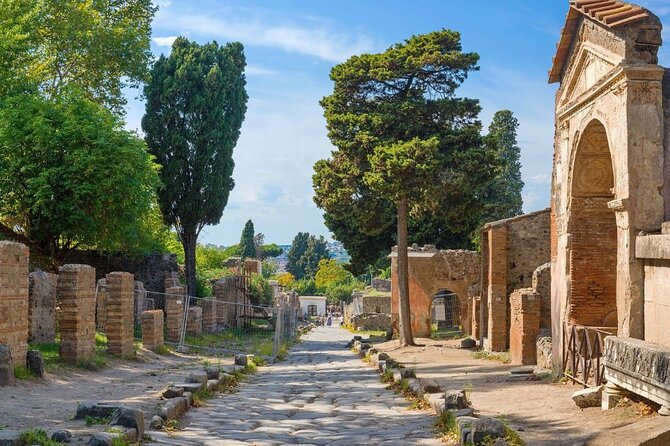 Pompeii and Naples Tour from Rome by Train with Lunch - Should you book this Pompeii and Naples tour?