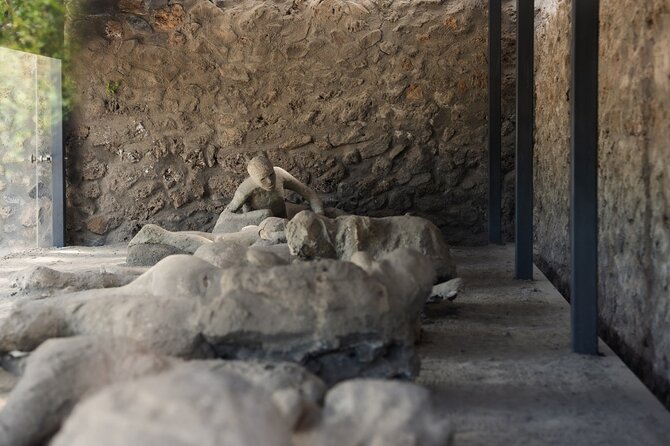 Pompeii Express Day Trip: High-Speed Train from Rome - Returning to Rome after a full day