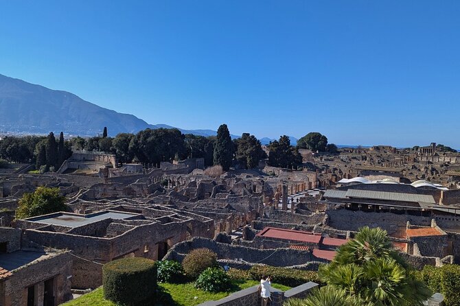 Pompeii Express Day Trip: High-Speed Train from Rome - Is $149 a fair price?