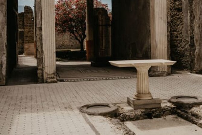 Pompeii Guided Tour with Train Included from Rome - Starting at Roma Termini