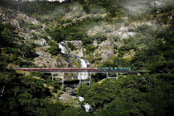Port Douglas: Kuranda tour with Skyrail or Scenic Train - What the $118.35 price buys you