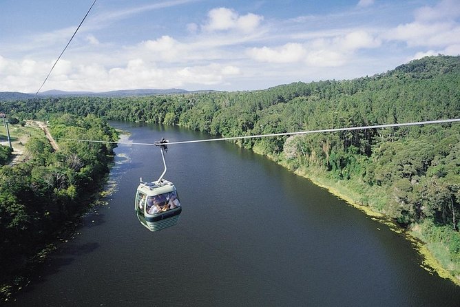 Port Douglas: Kuranda tour with Skyrail or Scenic Train - Group size, comfort, and practical details