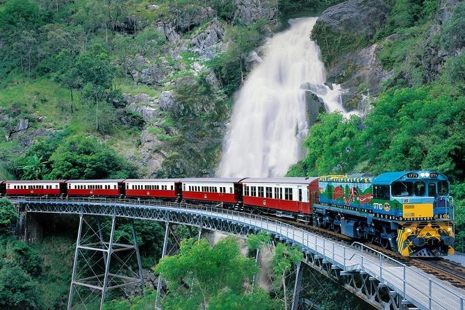 Port Douglas: Kuranda tour with Skyrail or Scenic Train - Skyrail: the rainforest from above
