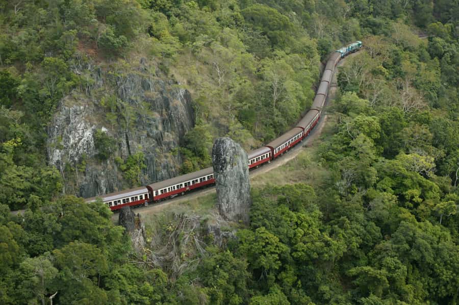 Port Douglas: World Heritage Forest by Skyrail & Scenic Rail - Key points at a glance