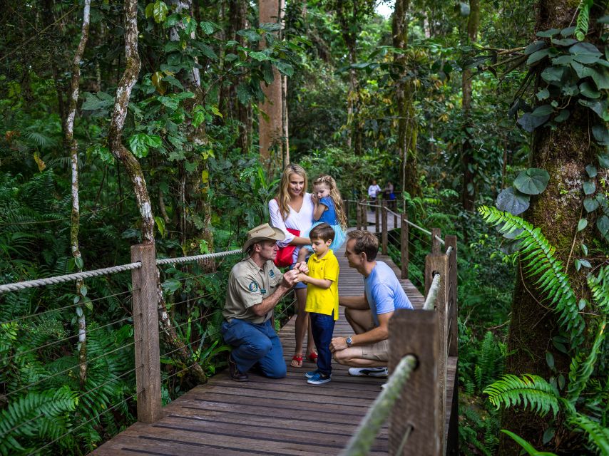 Port Douglas: World Heritage Forest by Skyrail & Scenic Rail - What $177 buys you