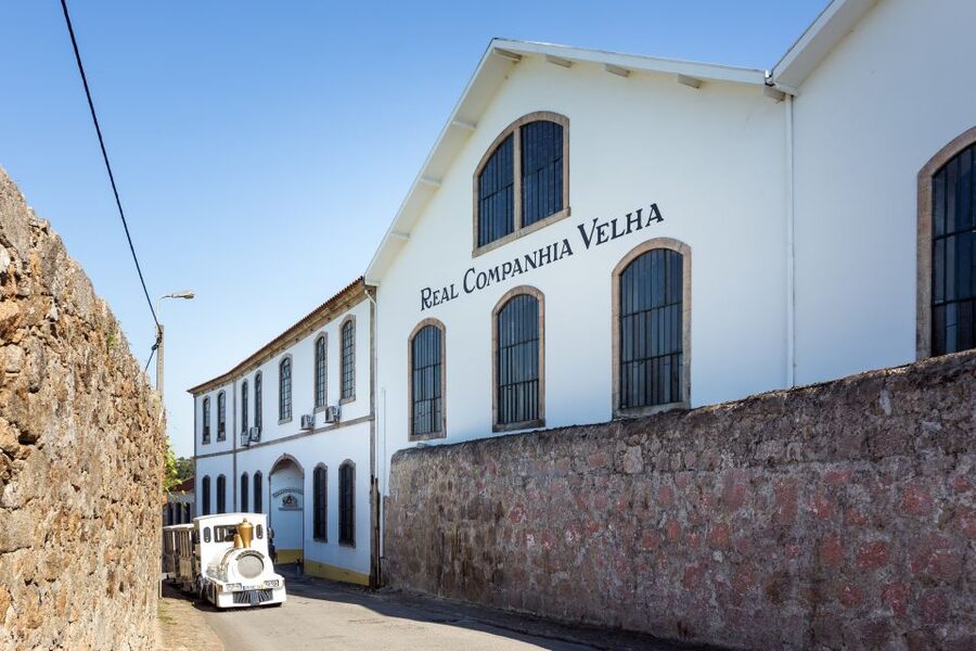 Porto: City Train Tour, River Cruise & Wine Cellar - Returning through the center by train