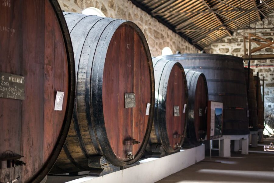 Porto: City Train Tour, River Cruise & Wine Cellar - Under the six bridges on the Douro