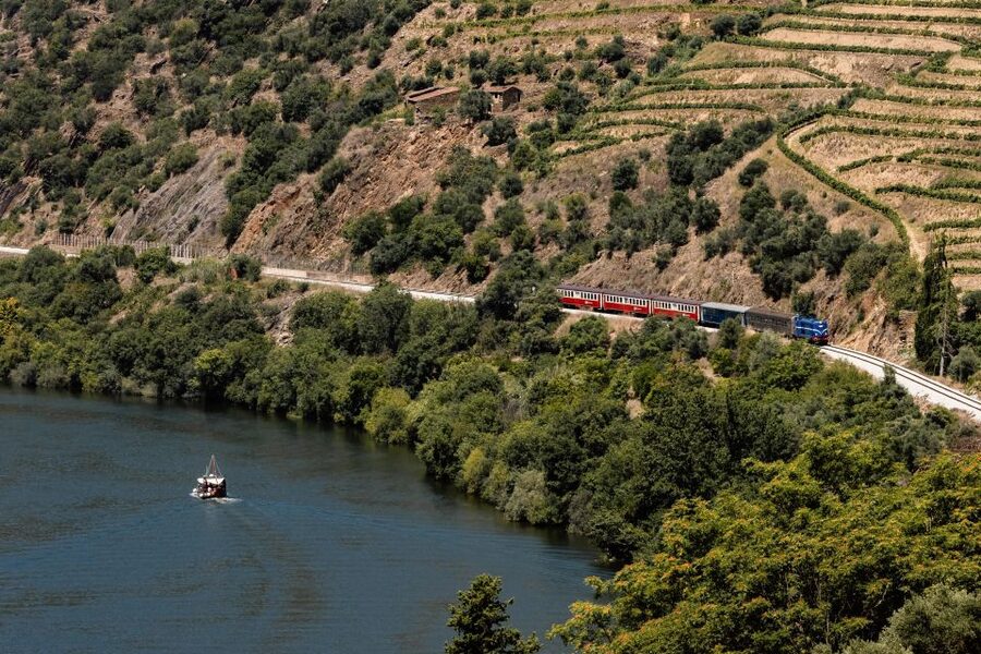 Porto: Douro Valley Full-Day Boat, Train, and Lunch Tour - Key points to know before booking