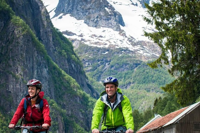 Private Full-Day Round Trip from Oslo to Sognefjord via Flåm Railway - What the private format really gives you