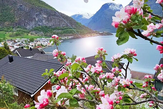 Private Guided Tour to Oslo Nærøyfjord Cruise and Flåm Railway - The Flåm Railway from Flåm to Myrdal