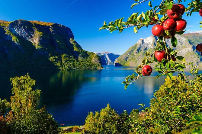 Private tour, Bergen to Oslo - Nærøyfjord Cruise & Flåm Railway - Is $1,109.89 per person good value?