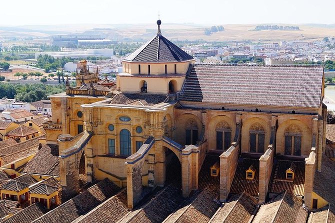 Private Tour: Cordoba Day Trip from Madrid by High-Speed Train - The high-speed train to Córdoba