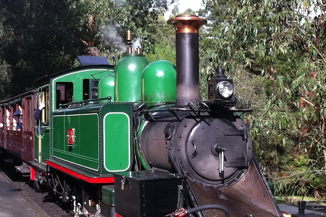 [Private Tour] Healesville Sanctuary Wildlife & Puffing Billy Steam Train - Private transport and the value of a personal guide