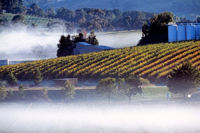 [Private Tour] Healesville Sanctuary Wildlife & Puffing Billy Steam Train - Weather, clothing, and the pace of the day