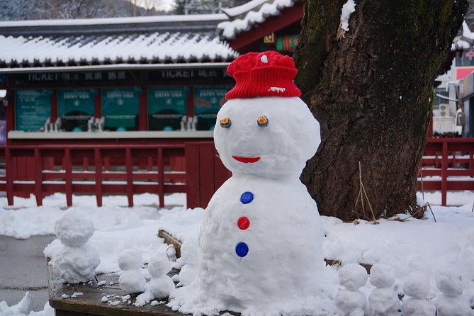 Private Tour Rail Bike & Nami Island & (Petite France or Garden of Morning Calm) - Why this private day trip works outside Seoul