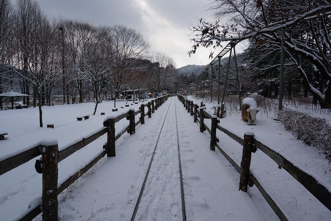 Private Tour Rail Bike & Nami Island & (Petite France or Garden of Morning Calm) - Choose the Garden of Morning Calm for plants and seasonal beauty