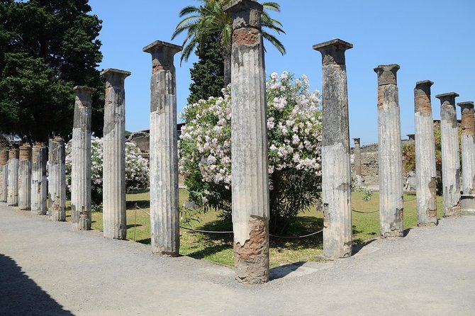 Private Tour Rome to Pompeii in private vehicle or fast train - Casa dei Vettii and the homes of Pompeii