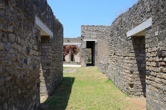 Private Tour Rome to Pompeii in private vehicle or fast train - How the price makes sense