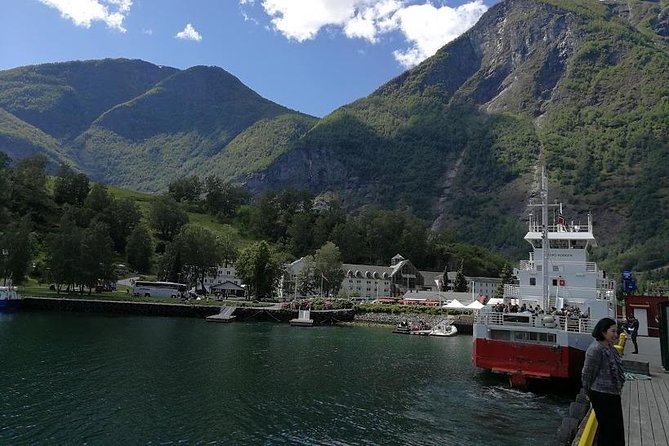 Private tour - Viking Village, Nærøyfjord Cruise and Flåm Railway - The Nærøyfjord is the visual high point