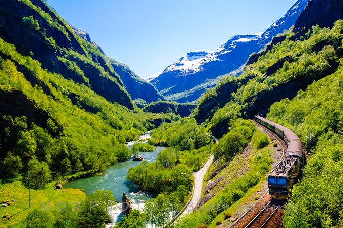 Private tour - Viking Village, Nærøyfjord Cruise and Flåm Railway - Flåm and the Aurlandsfjord connect the route