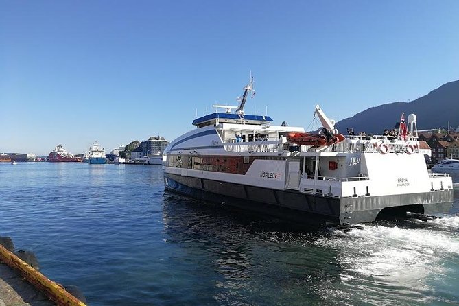 Private tour - Viking Village, Nærøyfjord Cruise & Flåm Railway - Myrdal Station and the Bergen Railway connection