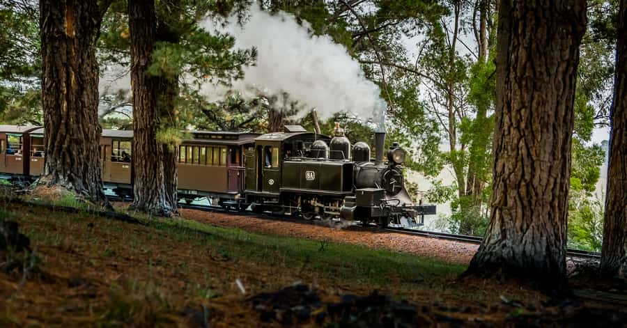 Puffing Billy Railway: Heritage Steam Train Journey - Starting at Belgrave: the classic Puffing Billy experience
