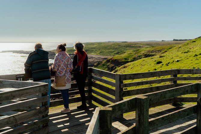 Puffing Billy Steam Train and Penguins Wildlife Tour - A wildlife evening beyond the penguins
