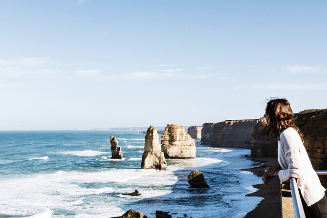 Puffing Billy Steam Train and Penguins Wildlife Tour - What the $164.25 price covers