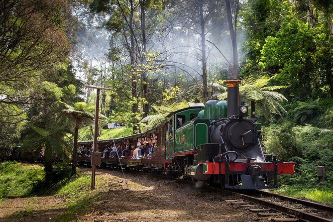 Puffing Billy Steam Train and Penguins Wildlife Tour - The Nobbies and Bass Strait views