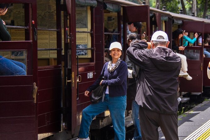 Puffing Billy Steam Train Experience - Who will get the most from this half-day outing