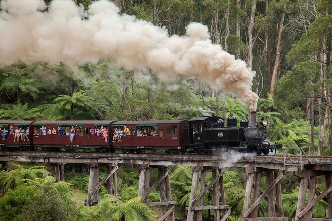 Puffing Billy Steam Train Experience - Open-sided carriages make the ride special