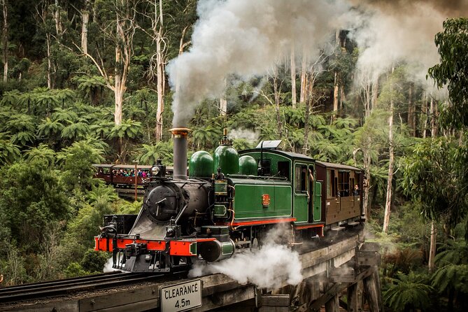 Puffing Billy Train and Phillip Island Penguin Parade Day Tour - A steam train first, penguins after dark