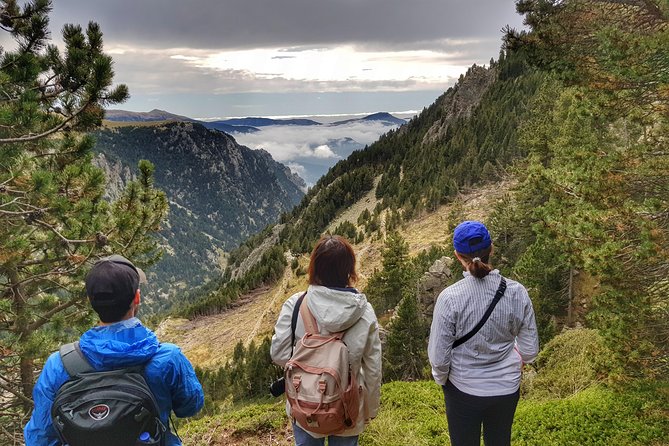 Pyrenees Mountain Train and Nature Walk - The Cremallera train makes the return worthwhile