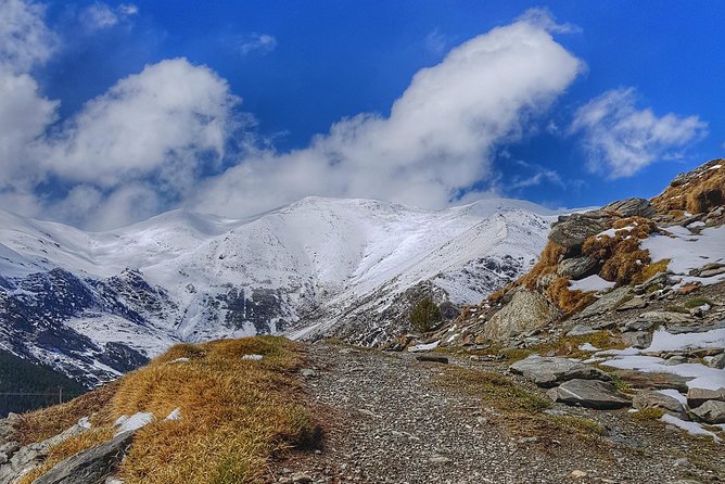 Pyrenees Mountain Train and Nature Walk - Is $124.21 fair value?