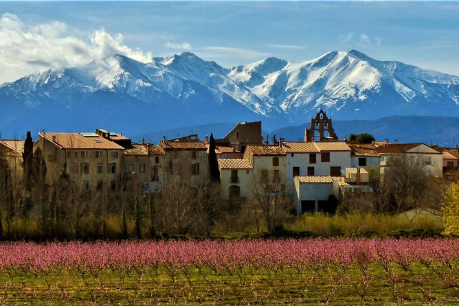 Pyrenees Private Tour from Barcelona with Easy Hike & Cogwheel Train - The two-hour ride from Barcelona to the Pyrenees