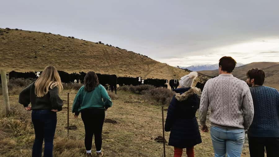 Queenstown to Dunedin Incl Taieri Gorge Train (One-Way) - Pukerangi and the change from road to rail