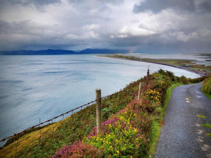 Rail Tour from Dublin: The Ring of Kerry - The rail journey to Killarney