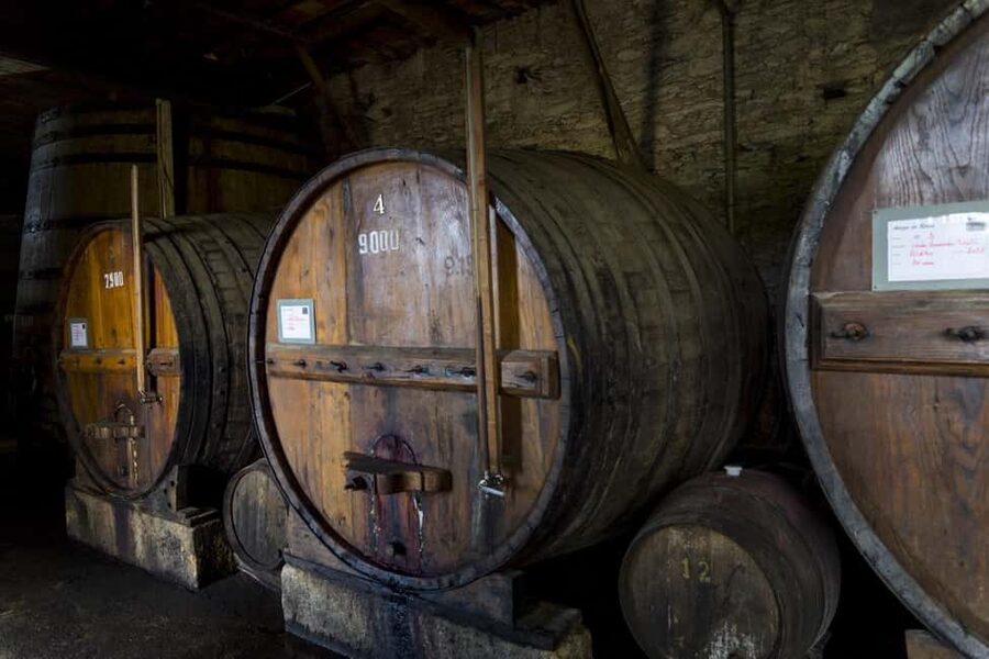 Régua: Wine tasting at a Quinta, traditional lunch, cruise, and train ride - Why this Régua day works so well