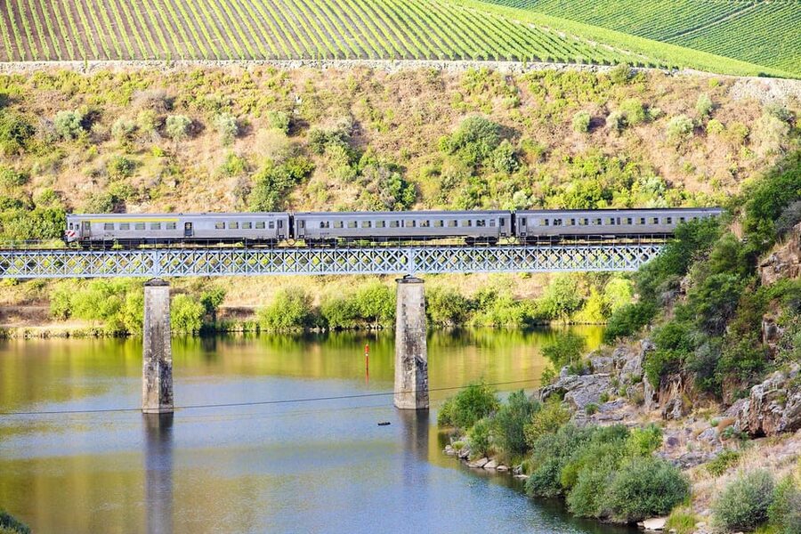 Régua: Wine tasting at a Quinta, traditional lunch, cruise, and train ride - Quinta da Laceira and a traditional Portuguese lunch