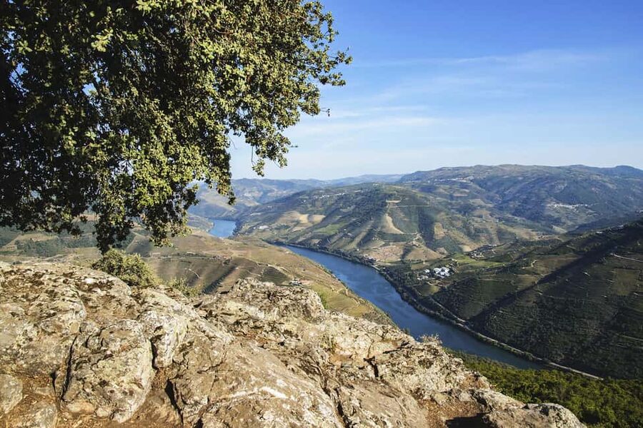 Régua: Wine tasting at a Quinta, traditional lunch, cruise, and train ride - Cruising from Régua to Pinhão