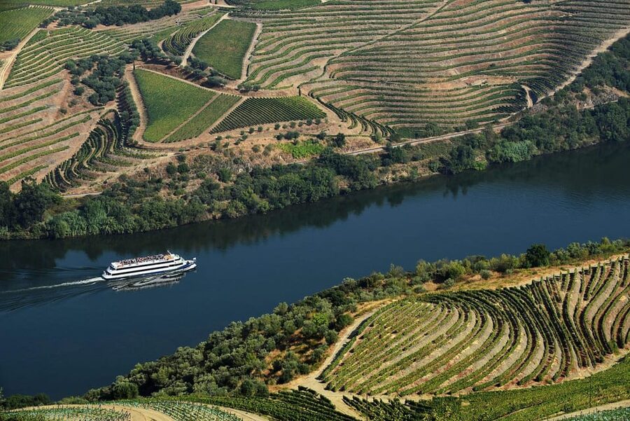 Régua: Wine tasting at a Quinta, traditional lunch, cruise, and train ride - The November to March change