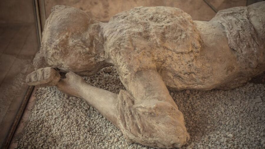 Rome: Pompeii Tour with Wine and Lunch by High Speed Train - Key points to know before booking