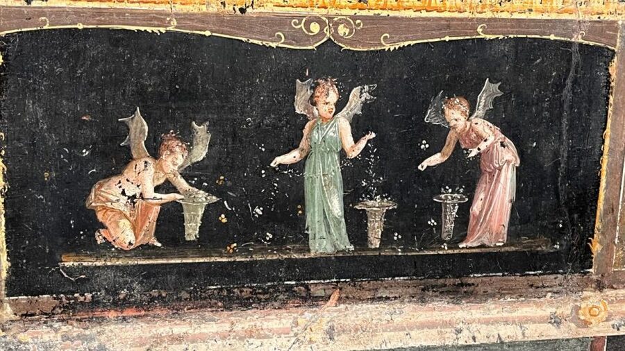 Rome: Pompeii Tour with Wine and Lunch by High Speed Train - A Vesuvian vineyard after the ruins