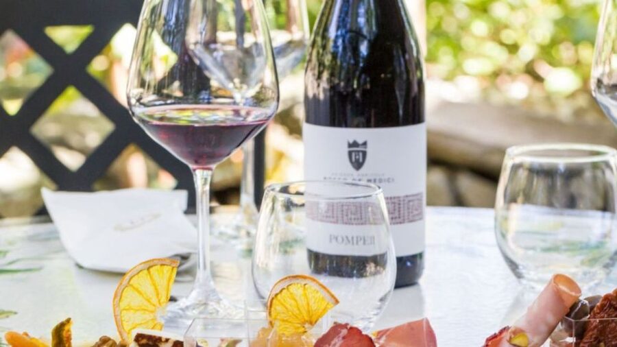 Rome: Pompeii Tour with Wine and Lunch by High Speed Train - Walking through Pompeii in 2.5 hours