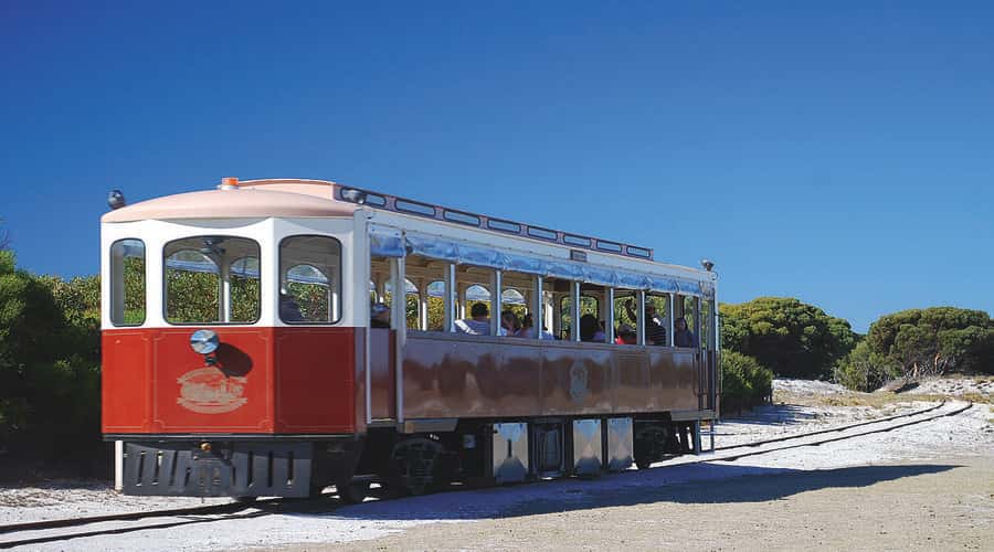 Rottnest Island: Grand Bus and Train Tour with Lunch - The bus circuit: beaches, woodlands, and salt lakes