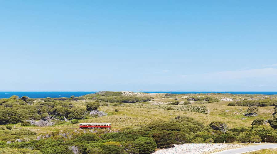 Rottnest Island: Grand Bus and Train Tour with Lunch - The train ride to Oliver Hill